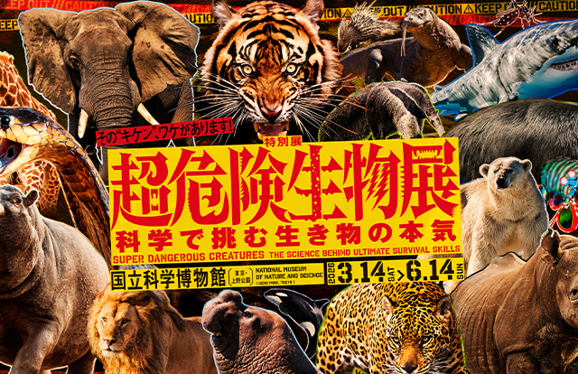 特別展『超危険生物展 科学で挑む生き物の本気』宣伝デザイン他