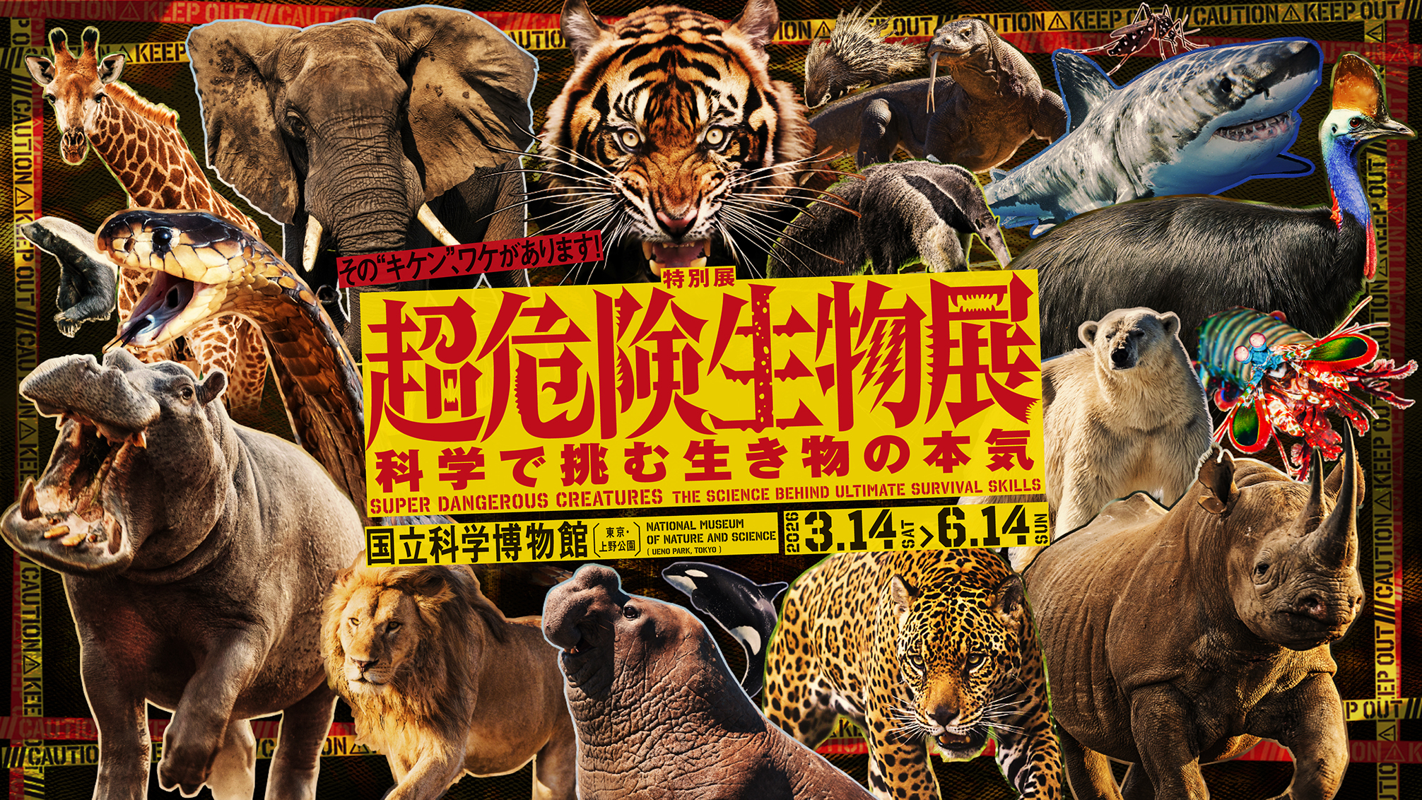 特別展『超危険生物展 科学で挑む生き物の本気』宣伝デザイン他